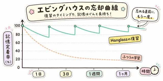 忘却曲線と復習による記憶定着のグラフ
